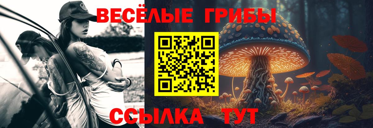 Псилоцибиновые грибы Psilocybe Феодосия