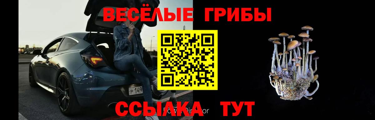 Галлюциногенные грибы MAGIC MUSHROOMS  Вход с VPN  Феодосия  Псилоцибиновые грибы GOLDEN TEACHER 